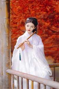 虐文女主觉醒后考公了