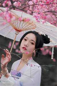 踏战九天