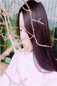 红尘传说