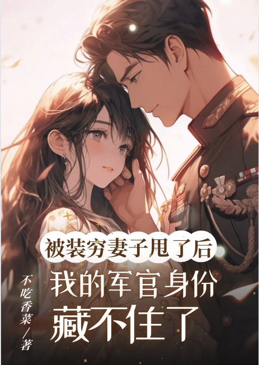 被装穷妻子甩了后，我的军官身份藏不住了