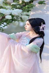 我送你的花