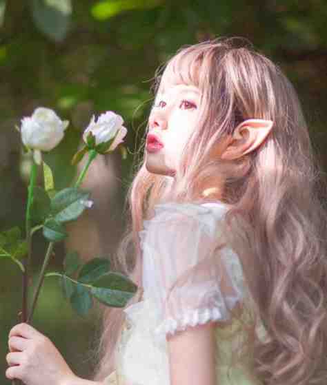 朝开暮落半夏生