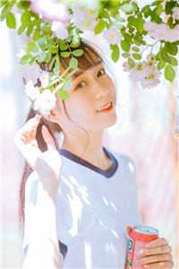 见过叶先生