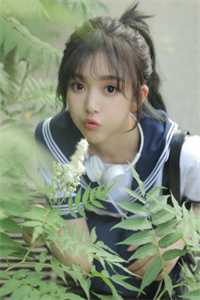 吞噬苍穹之我的灵根是纳米虫巢
