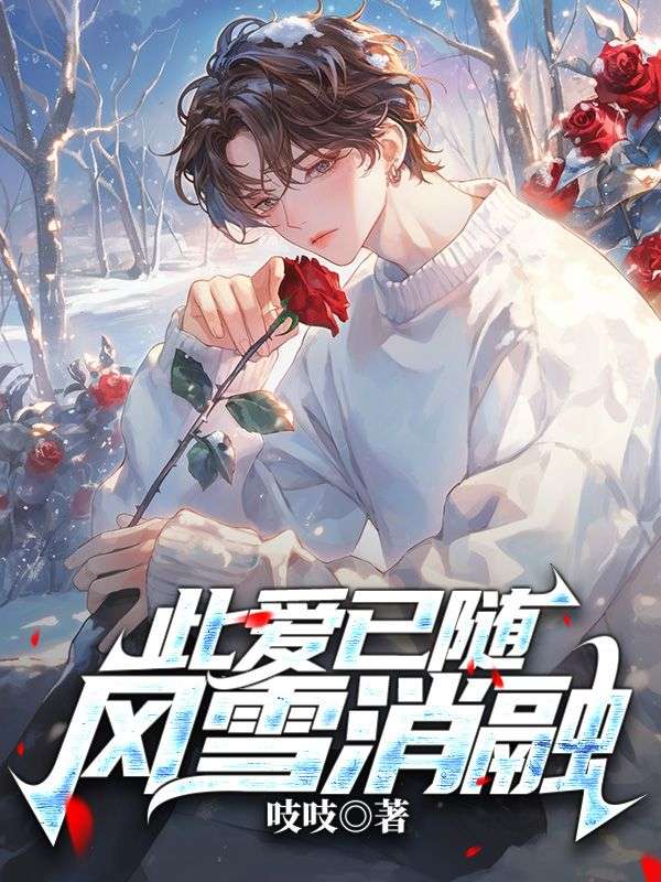 此爱已随风雪消融
