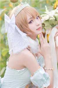 四合院：我的老婆是奥特之母